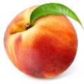 خَوخ