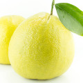 البرغموت الصقلي